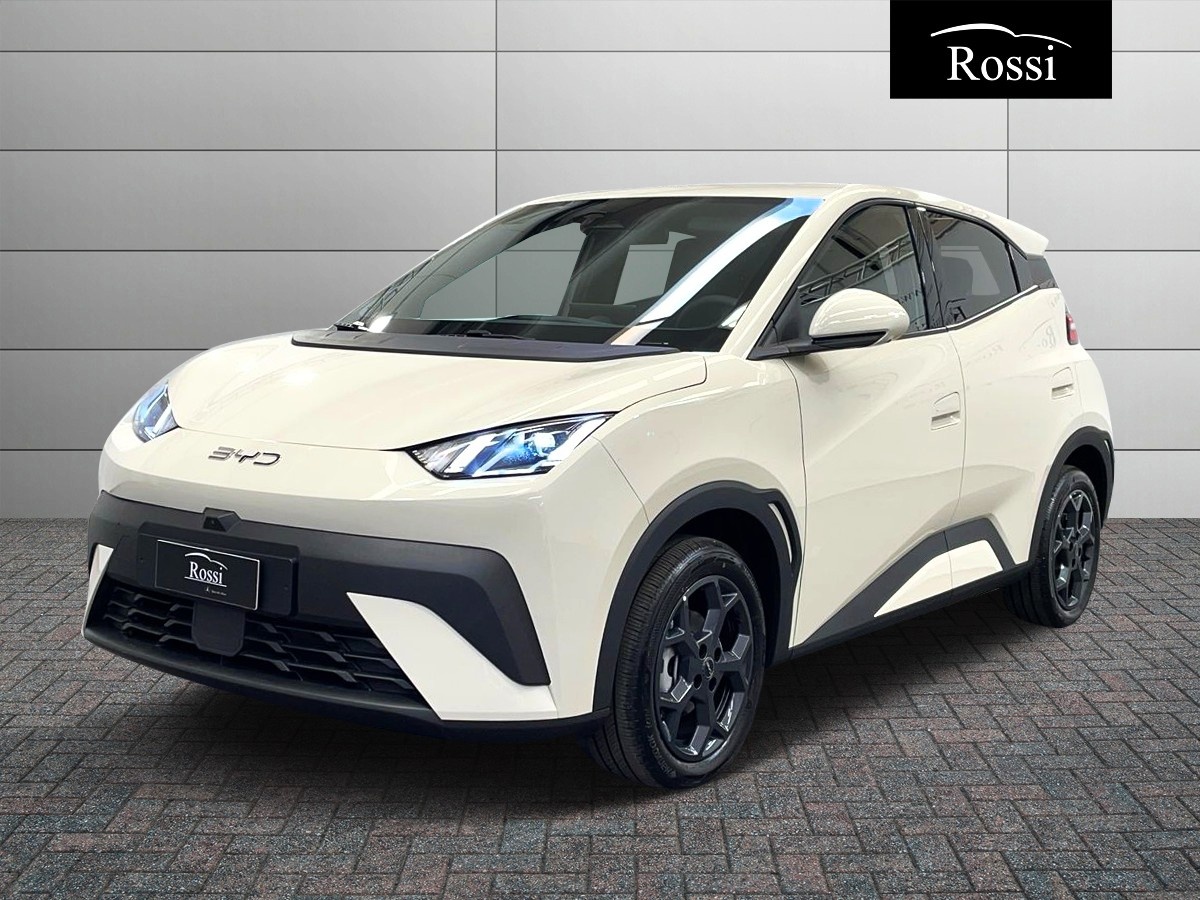 BYD BYD DOLPHIN SURF comfort