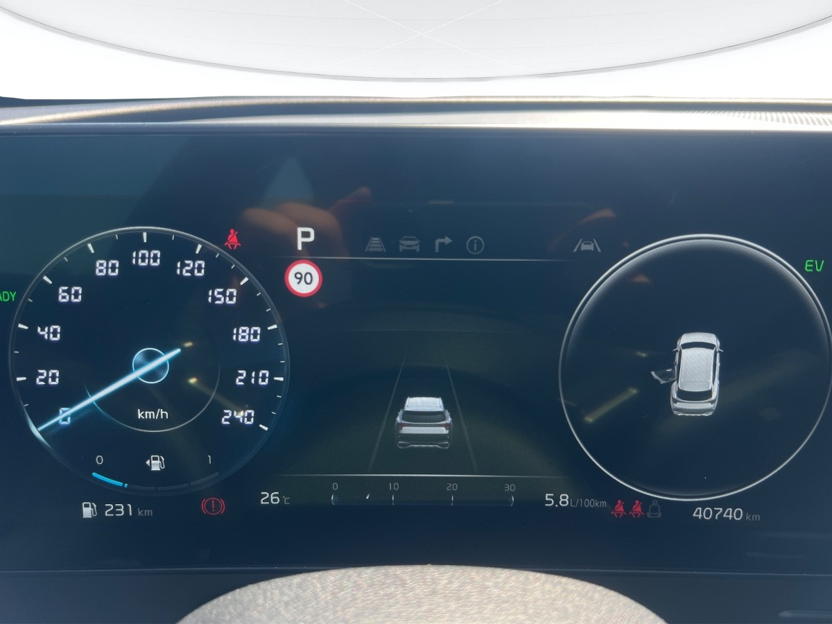 Kia Sportage Usato 2024 Sportage Rovigo