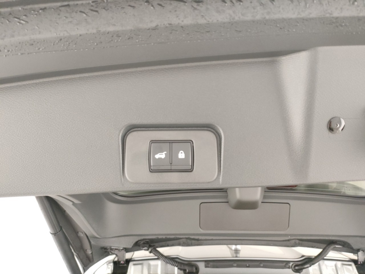 Nissan X-Trail Nuovo Ibrido benzina X-Trail Porto Mantovano