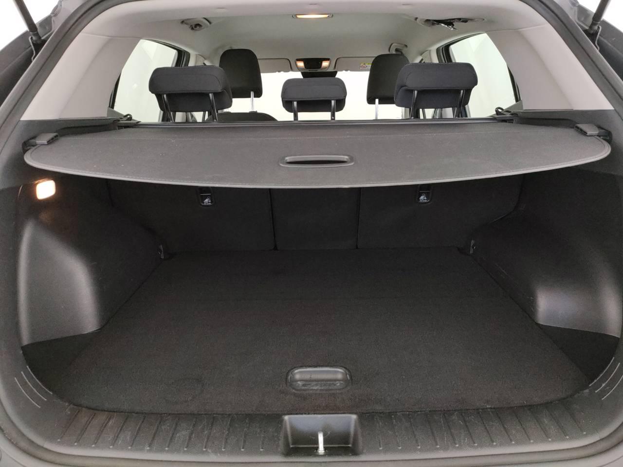 Kia Sportage Usato 2023 Sportage Mestre