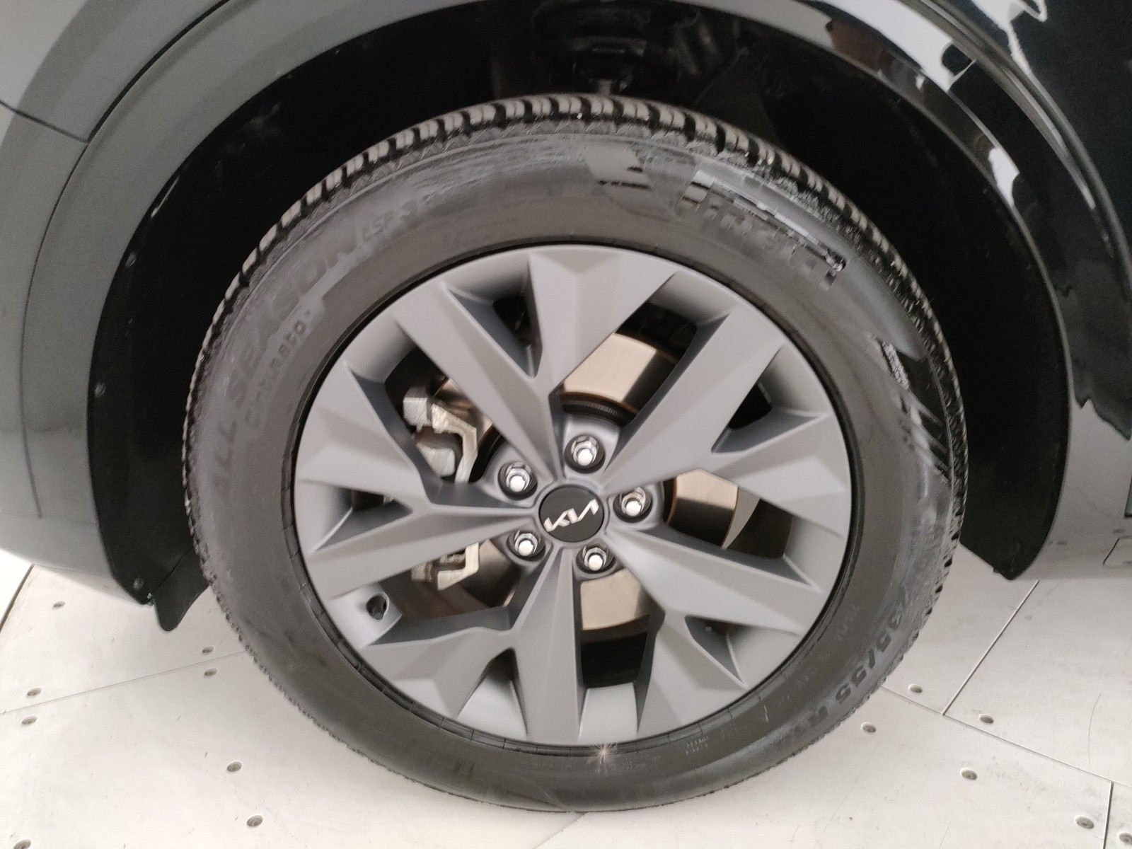 Kia Sportage Usato 2023 Sportage Legnago