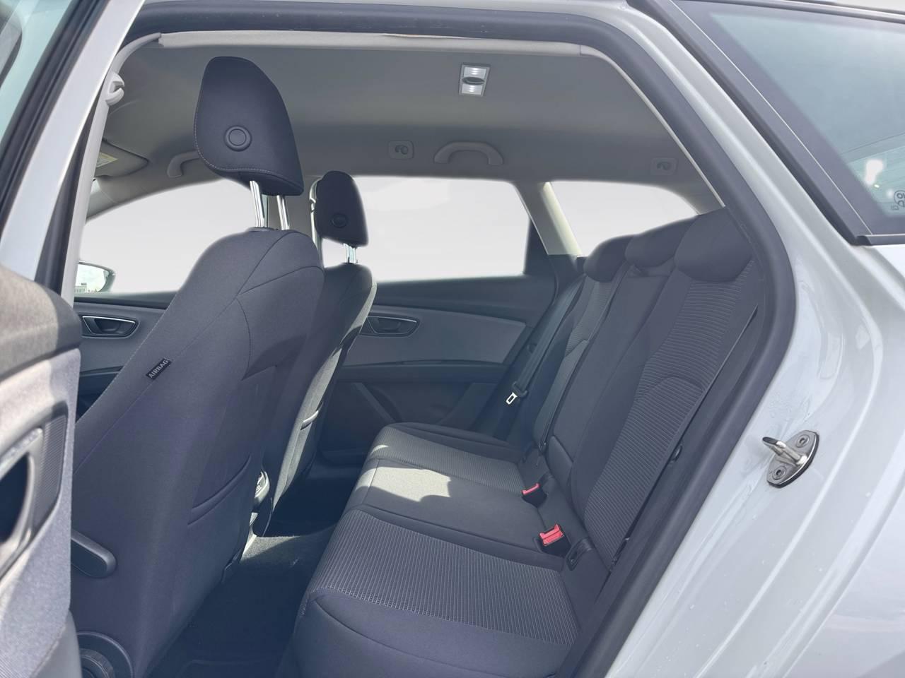 Seat Leon Usato 2018 Leon Rovigo