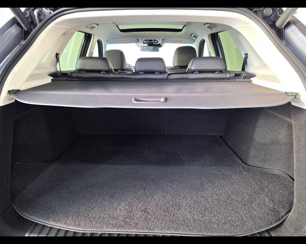 Tiger Eight Nuovo gPL Eight Mestre