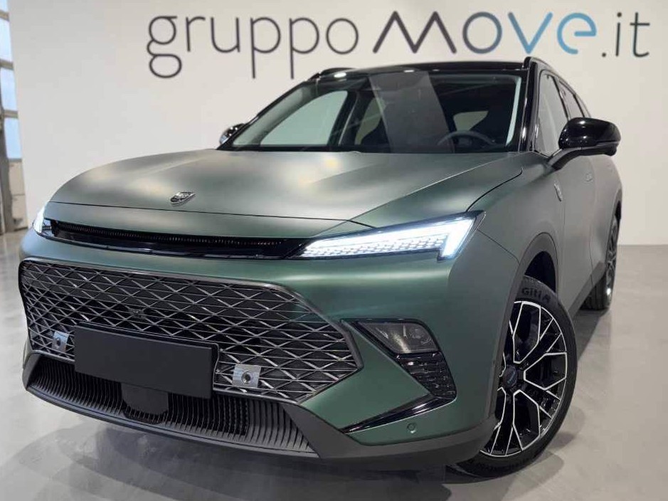 Tiger Six Usato 2025 Six Mestre