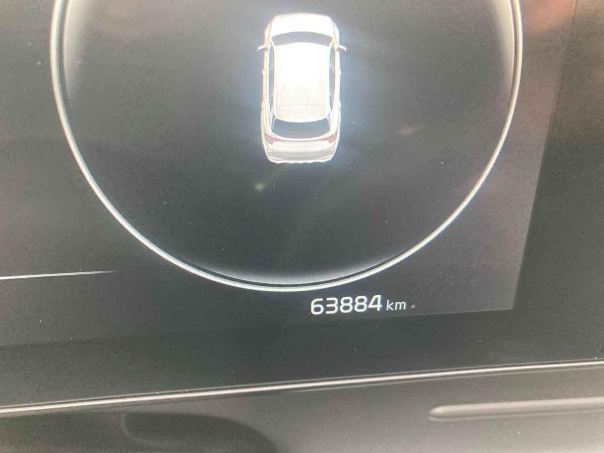 Kia Sportage Usato 2022 Sportage Modena