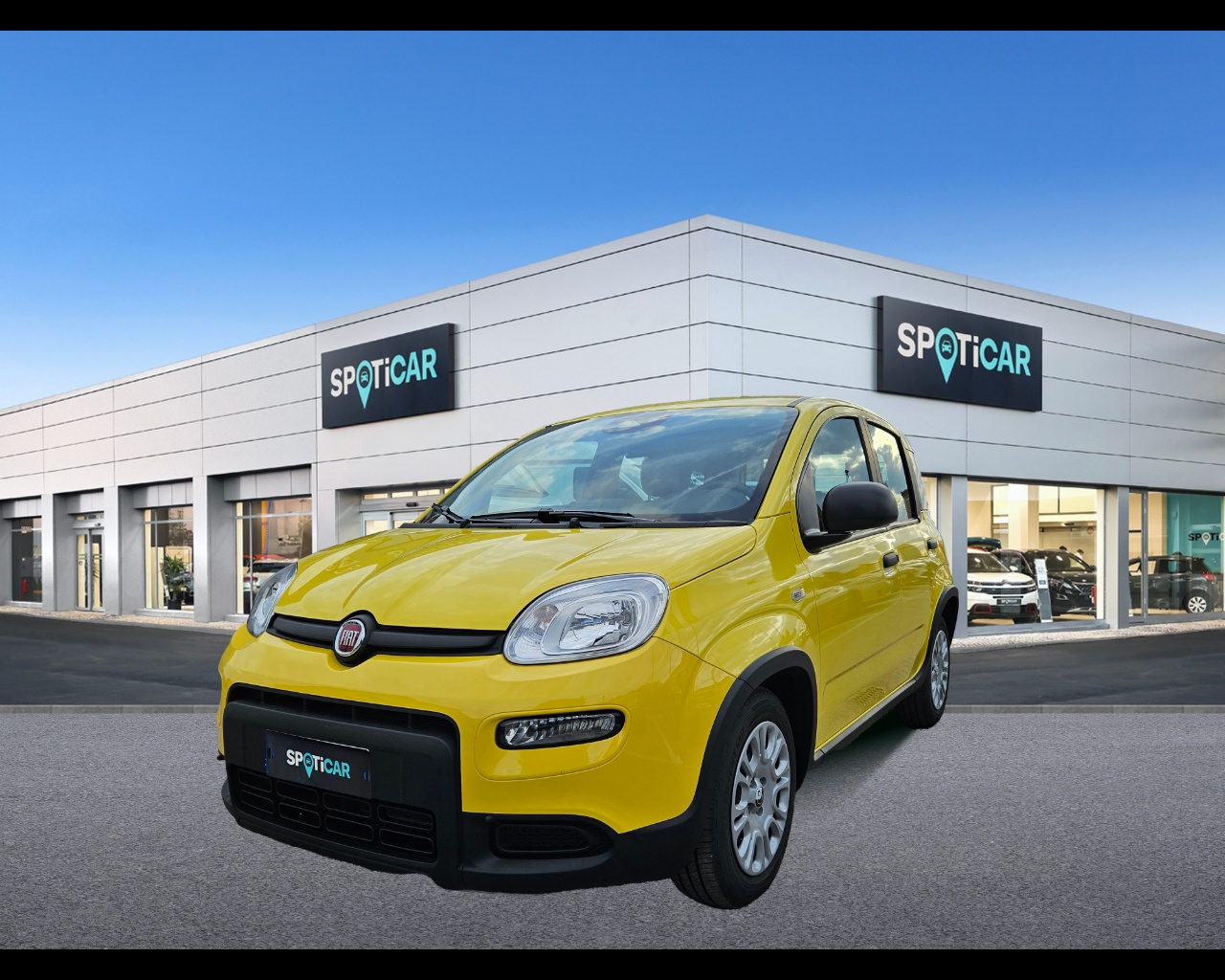 FIAT Panda Serie 7 1.0 70cv HybridPanda Ibrido benzina Aziendale