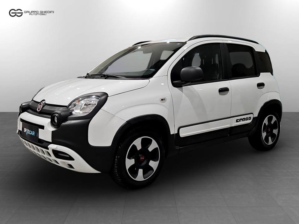 FIAT Panda 1.2 City Cross s&s 69cv Benzina Usato