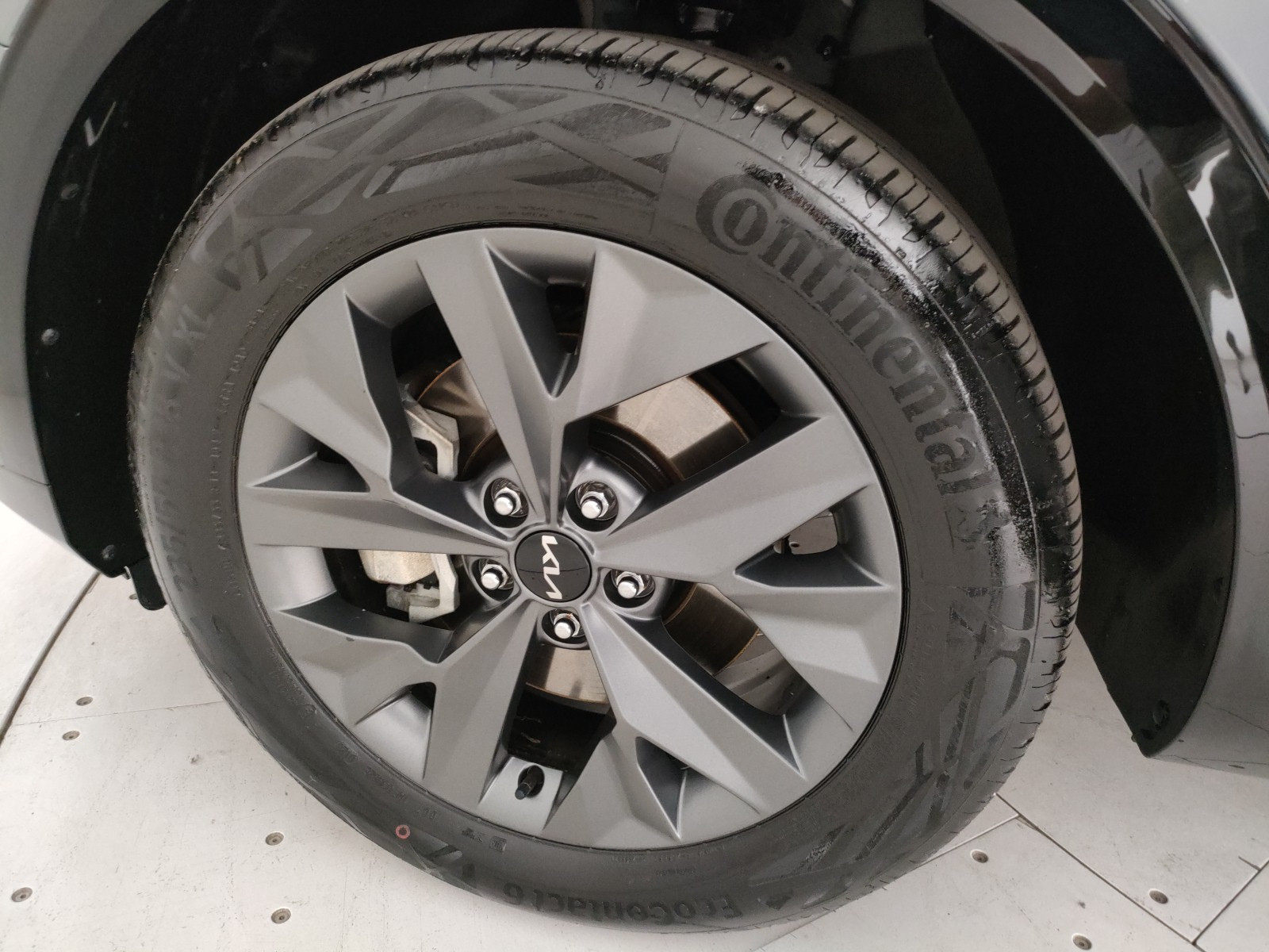 Kia Sportage Usato 2023 Sportage Legnago
