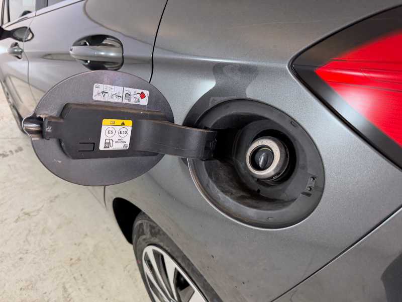 Fiesta Vii - Fiesta 5p 1.0 Ecoboost H Titanium 125cv