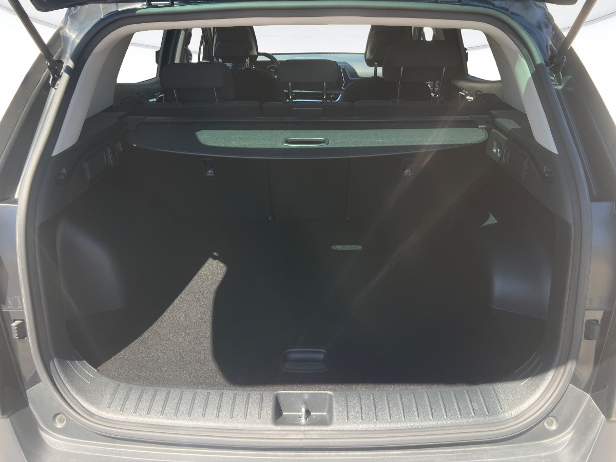 Kia Sportage Usato 2024 Sportage Rovigo