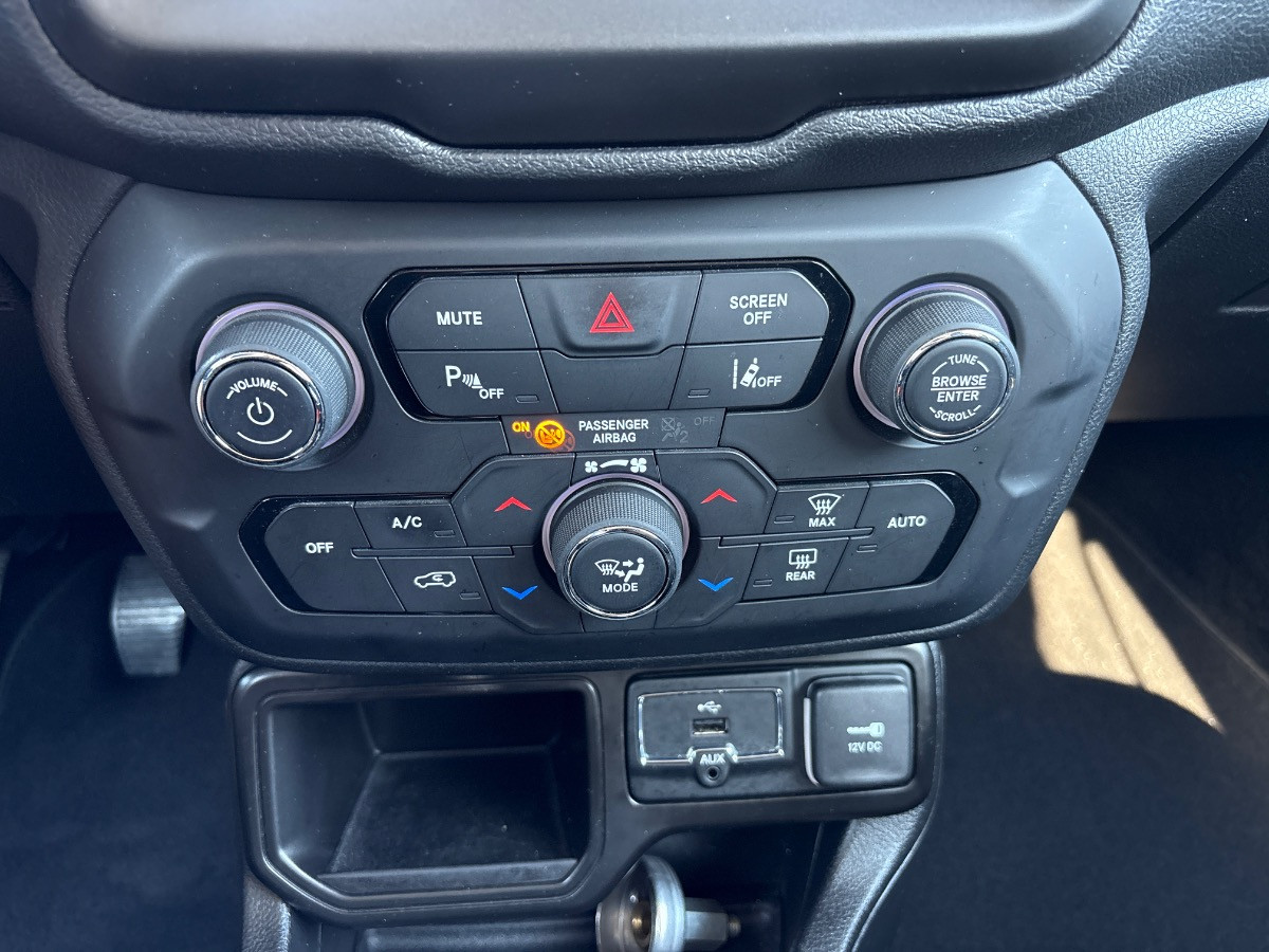 Jeep Renegade Usato 2020 Renegade Rovigo