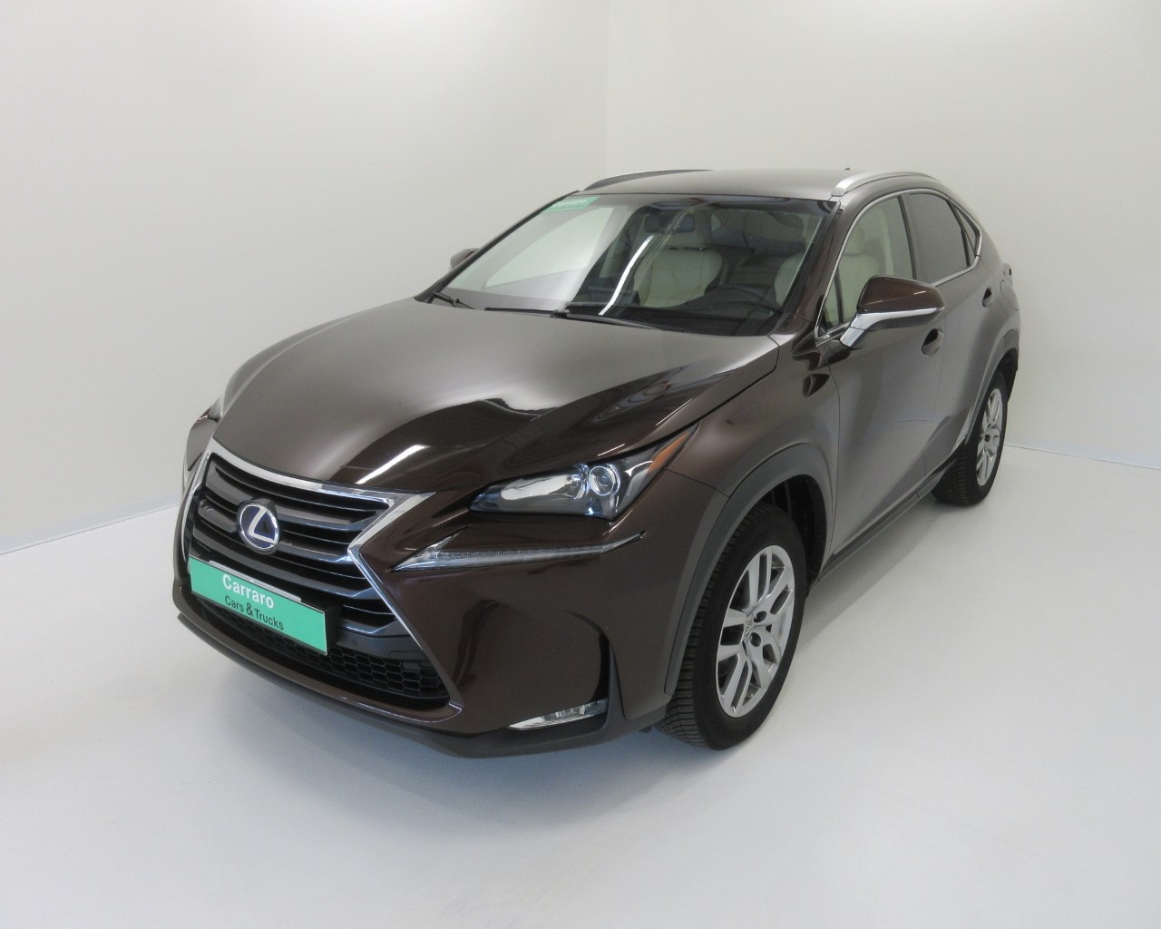 Lexus NX NX 300 2.5 Hybrid Icon 4WD CVT - 1