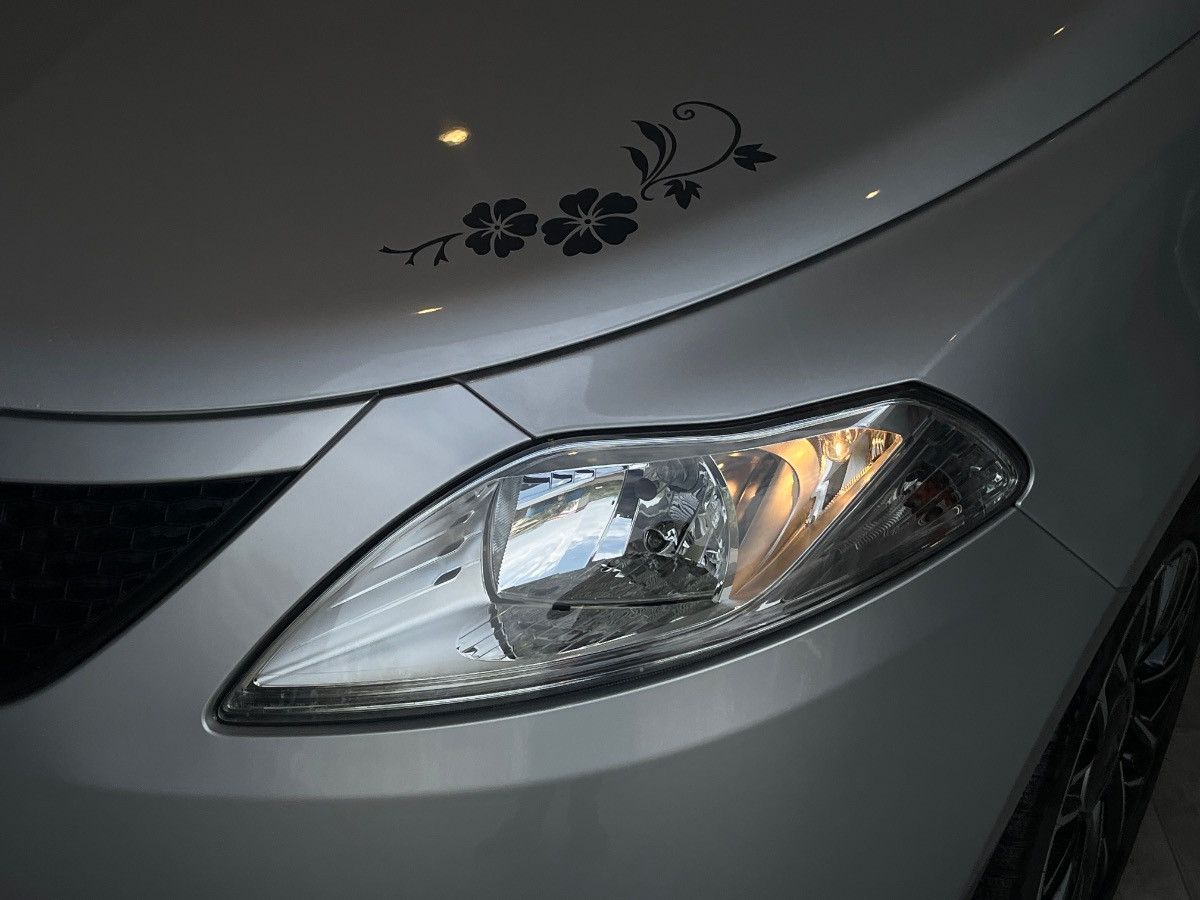 Lancia Ypsilon Usato 2019 Ypsilon Cerea