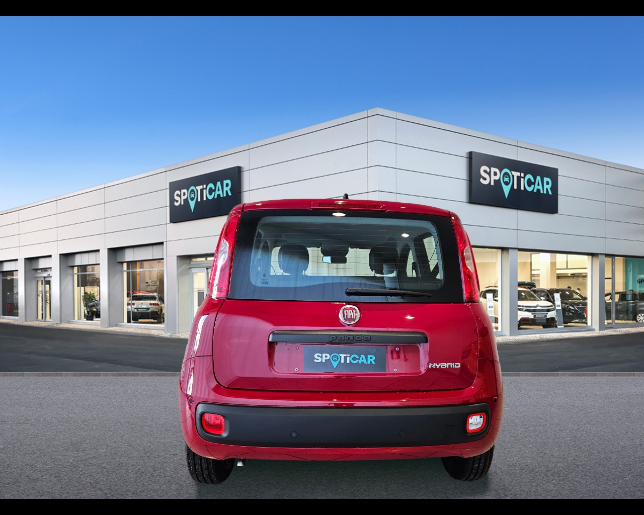 FIAT Panda 1.0 70cv Hybrid Pop Ibrido benzina Aziendale - 3