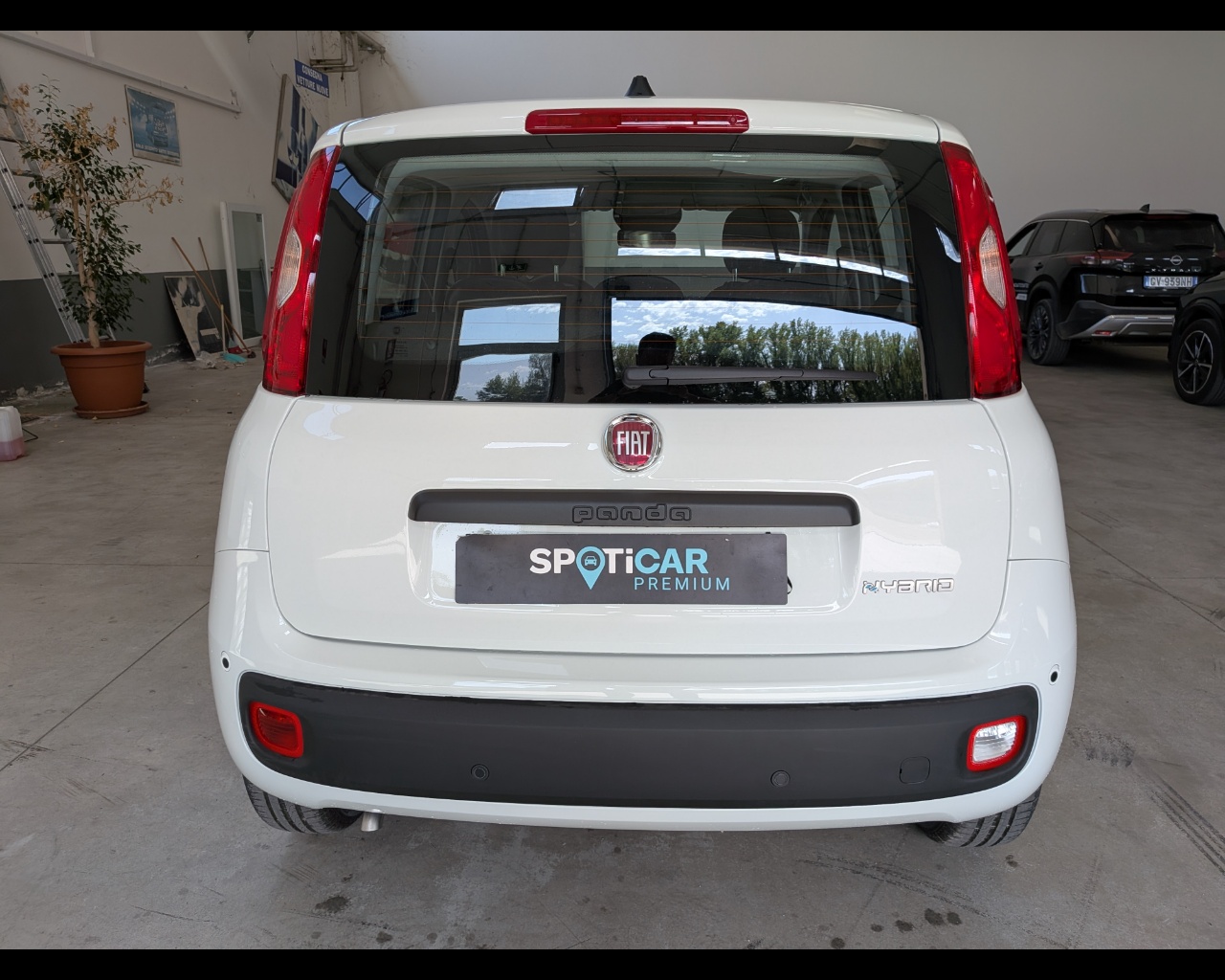 Foto FIAT Panda 1.0 firefly hybrid s&s 70cv 5p.ti