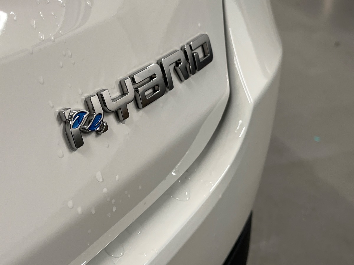 Fiat 600 Nuovo Ibrido benzina 600 Verona