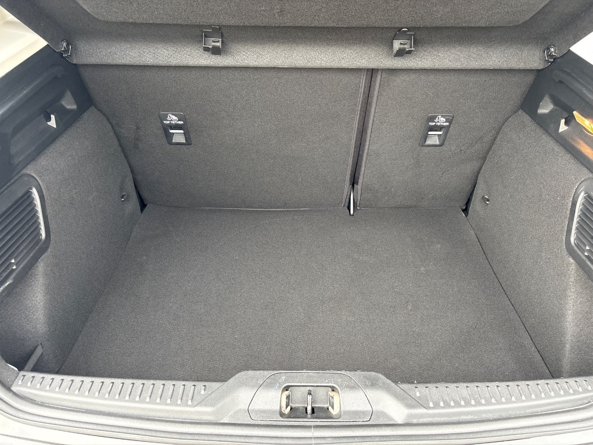 Ford Focus Active Usato 2019 Focus Active Rovigo