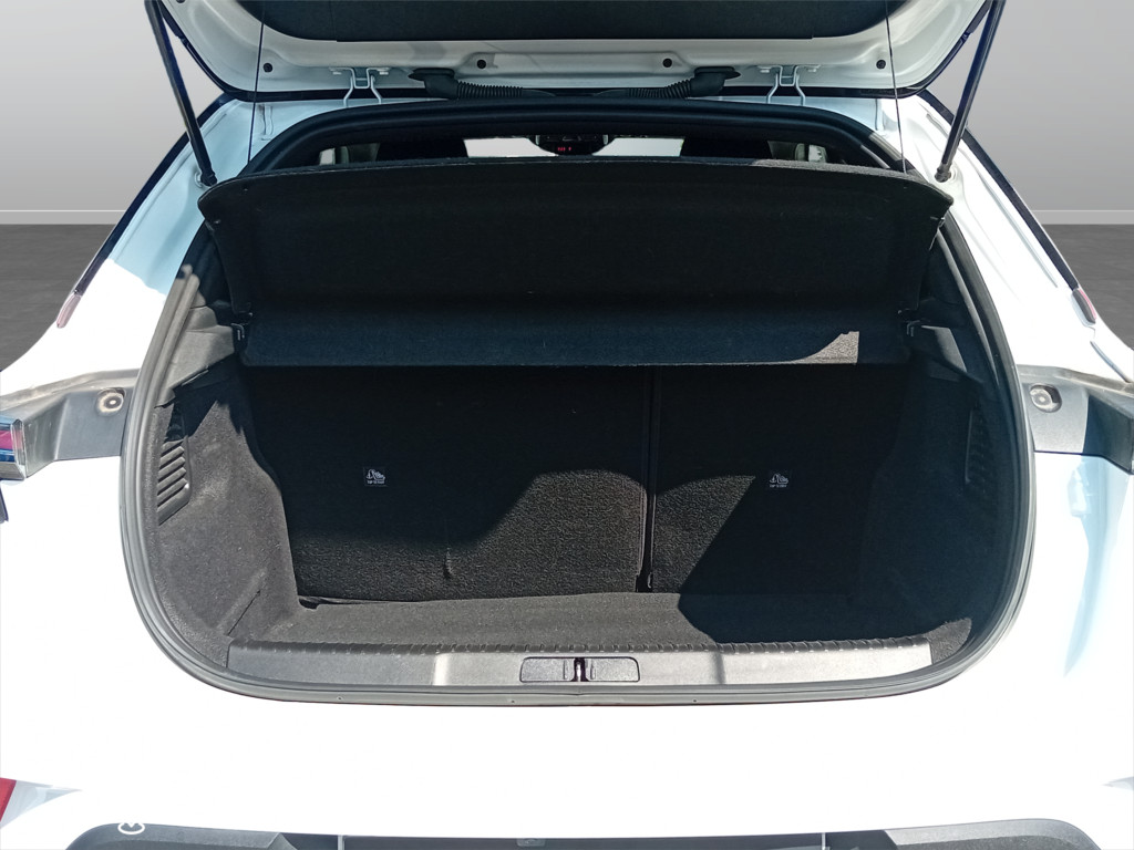 Panoramica 13° Immagine Veicolo