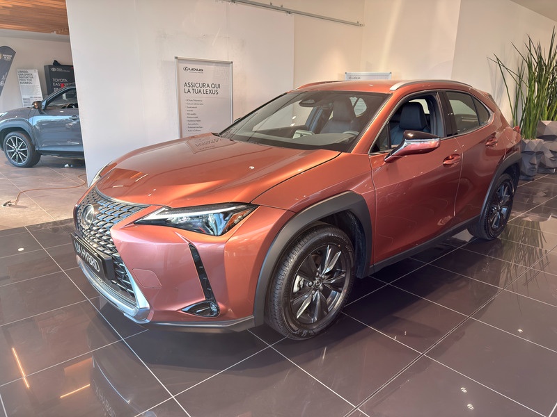 Foto veicolo LEXUS UX250H UX 300h 2.0 Urban 2wd cvt Elettrica/Benzina