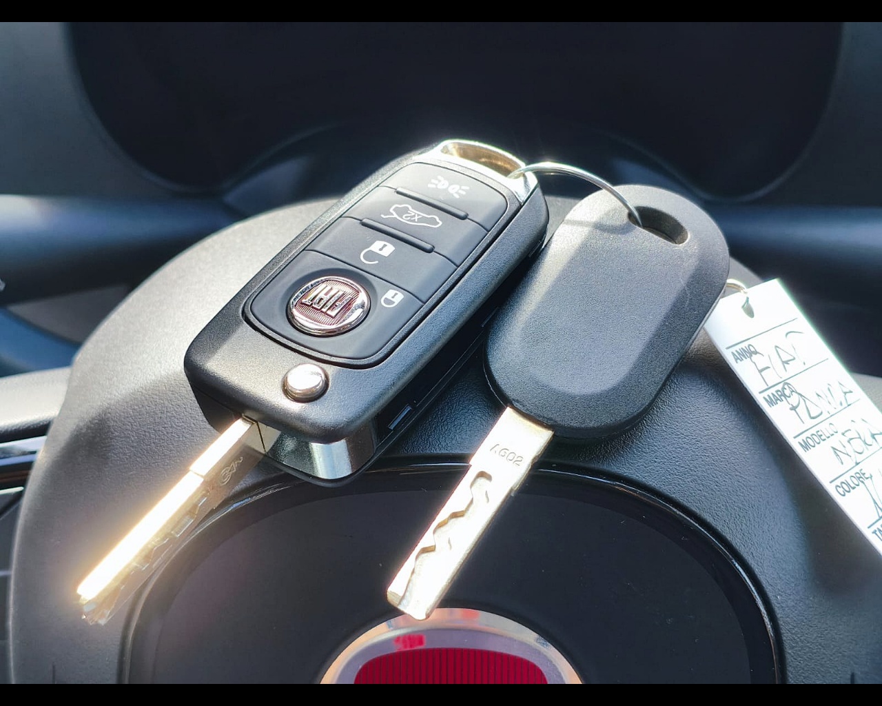 Foto FIAT Panda 1.0 firefly hybrid s&s 70cv 5p.ti