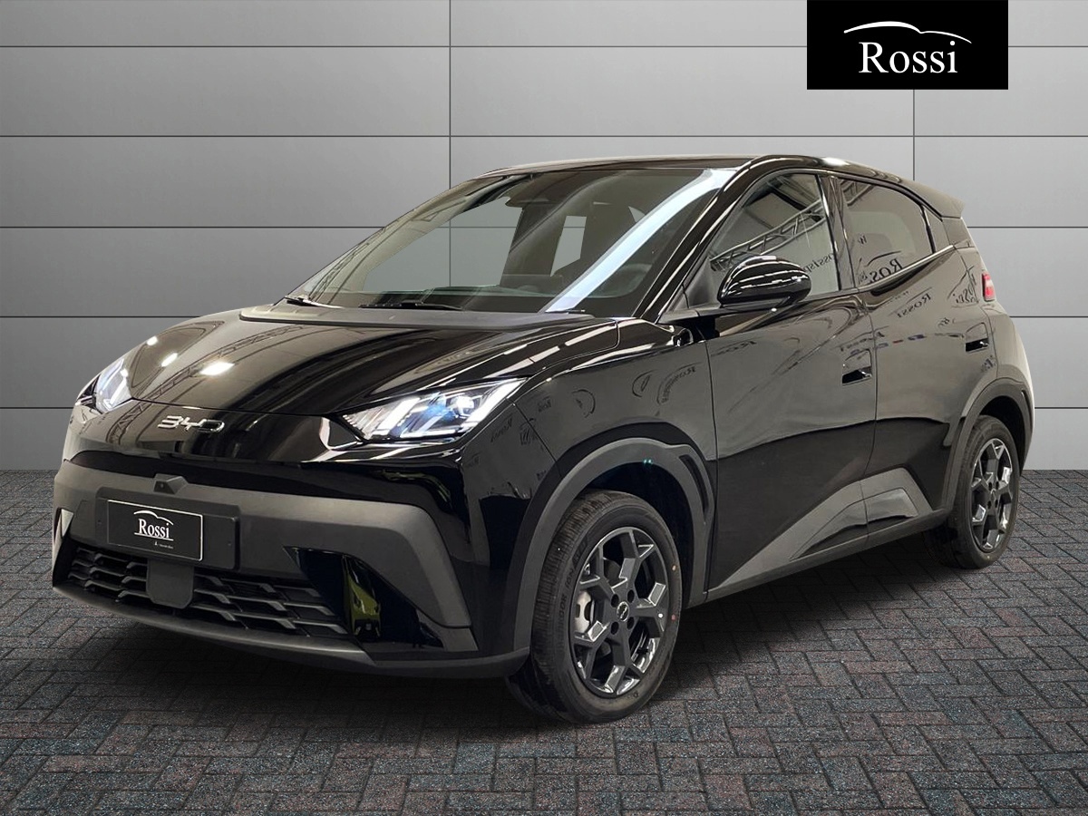 BYD BYD DOLPHIN SURF Comfort