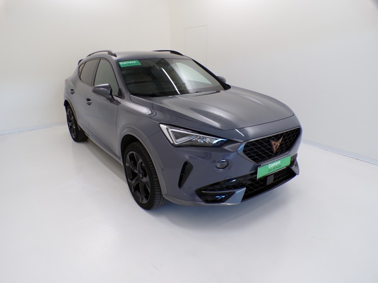 Cupra Formentor Formentor 2.0 TSI 190cv 4Drive DSG - 3