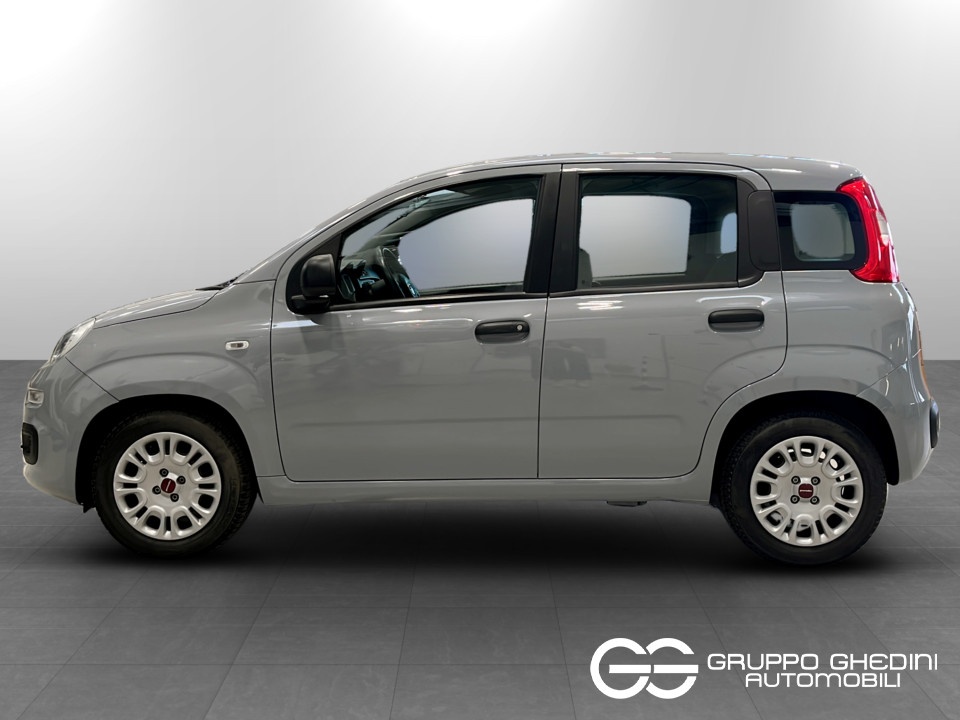 FIAT Panda 1.0 firefly hybrid s&s 70cv 5p.ti Ibrida usato - 1