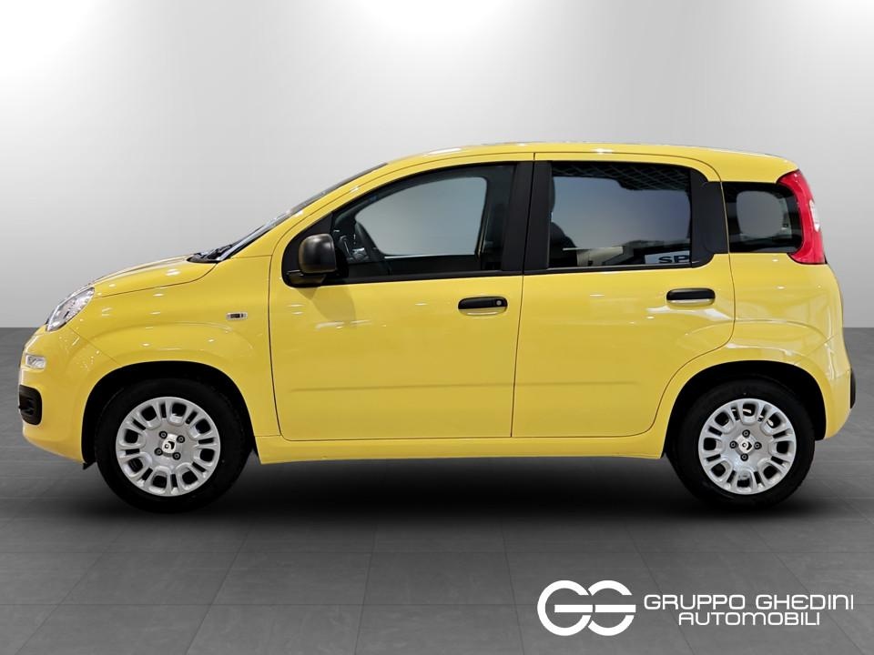 FIAT Panda Pandina My26 1.0 65cv Hybrid Icon Ibrida km0 - 1
