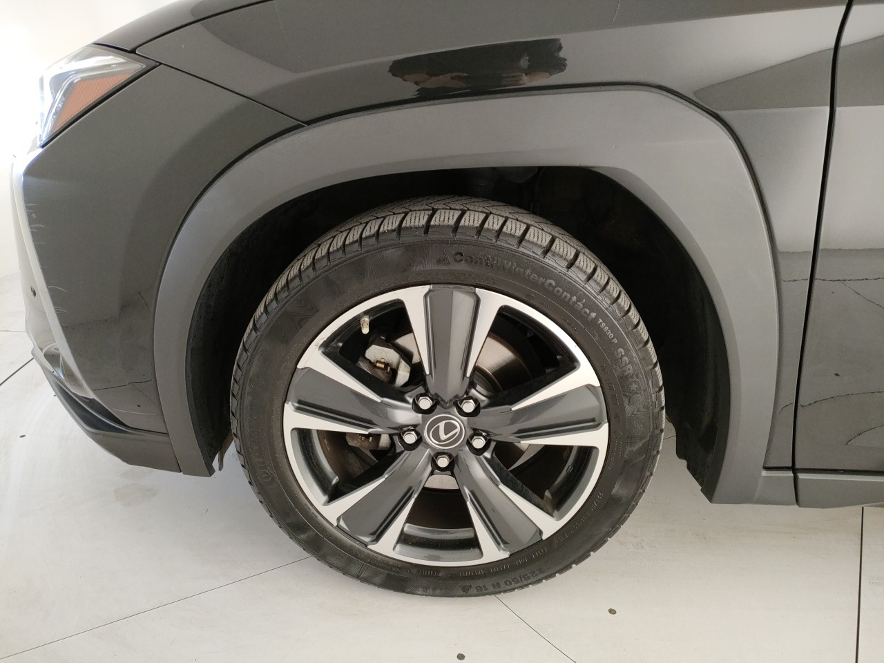 Lexus UX Usato 2021 UX Porto Mantovano