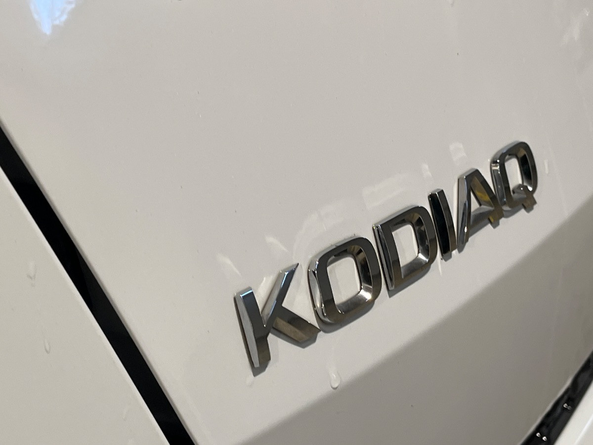 Skoda Kodiaq Usato 2023 Kodiaq Verona