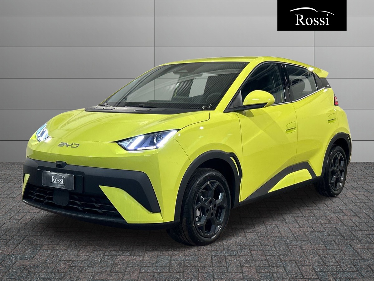 BYD BYD DOLPHIN SURF Comfort