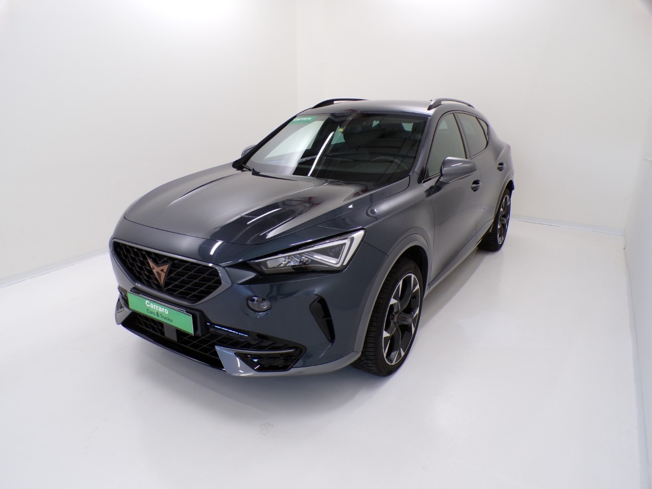 Cupra Formentor Formentor 2.0 TDI 4Drive