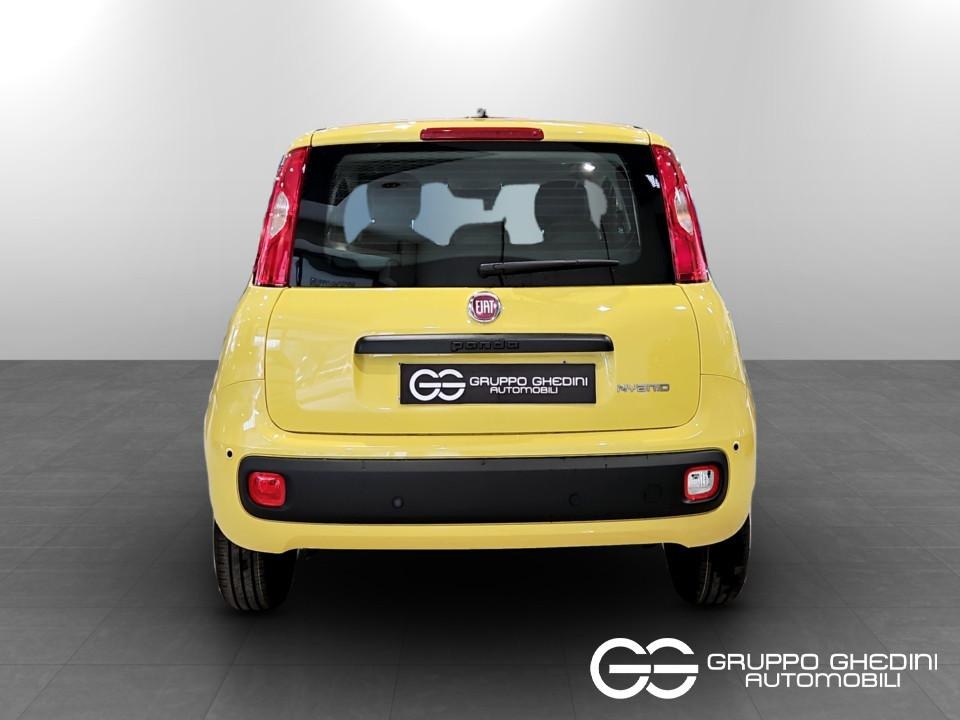 FIAT Panda Pandina My26 1.0 65cv Hybrid Icon Ibrida km0 - 4