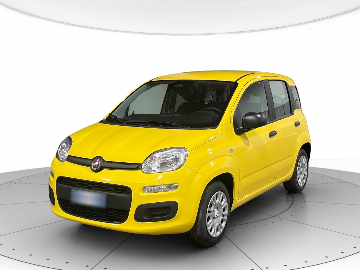 Fiat Pandina KM0 2026 Pandina Rovigo