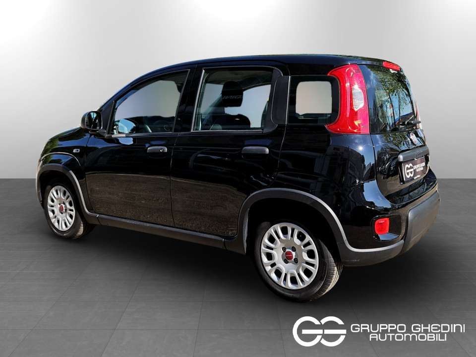 FIAT Panda 1.0 firefly hybrid s&s 70cv Ibrida usato - 2