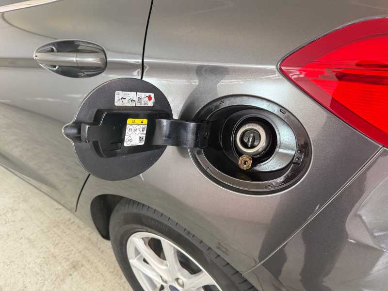 Fiesta Vii - Fiesta 5p 1.1 Titanium Gpl S&s 75cv My20.75