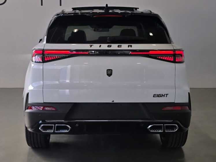 Tiger Eight Nuovo gPL Eight Mestre