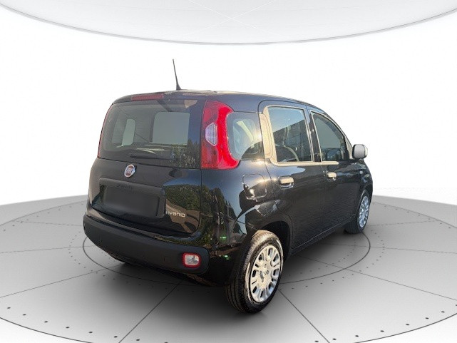 Fiat Panda Usato 2025 Panda Modena
