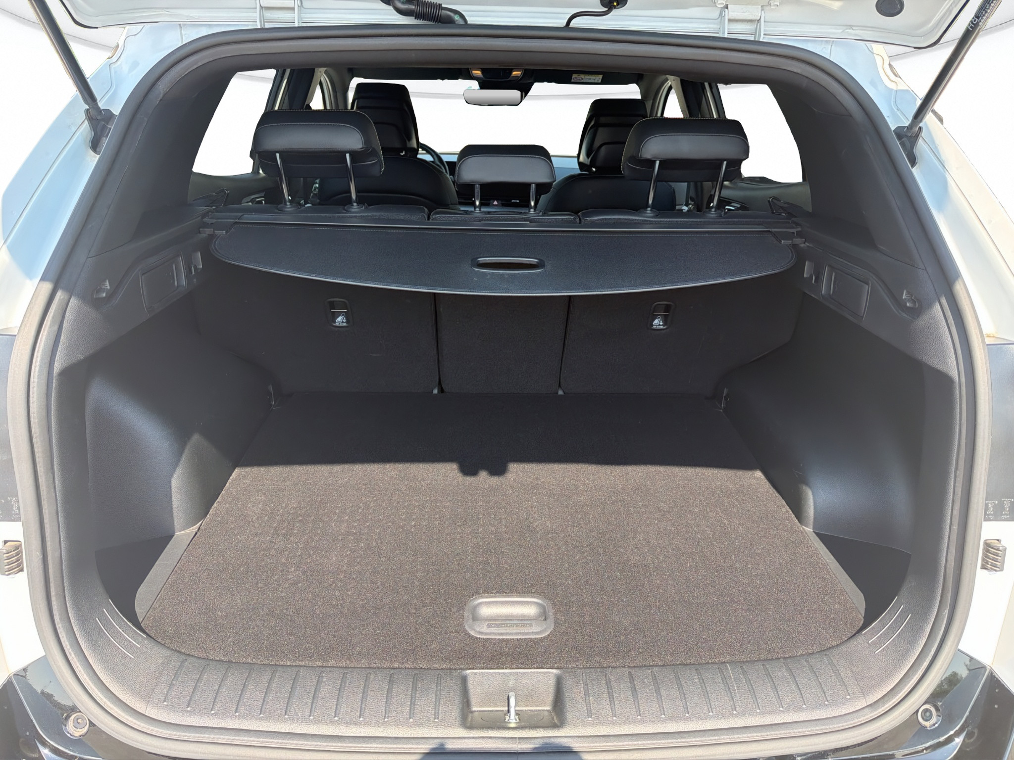 Kia Sportage Usato 2022 Sportage Mestre