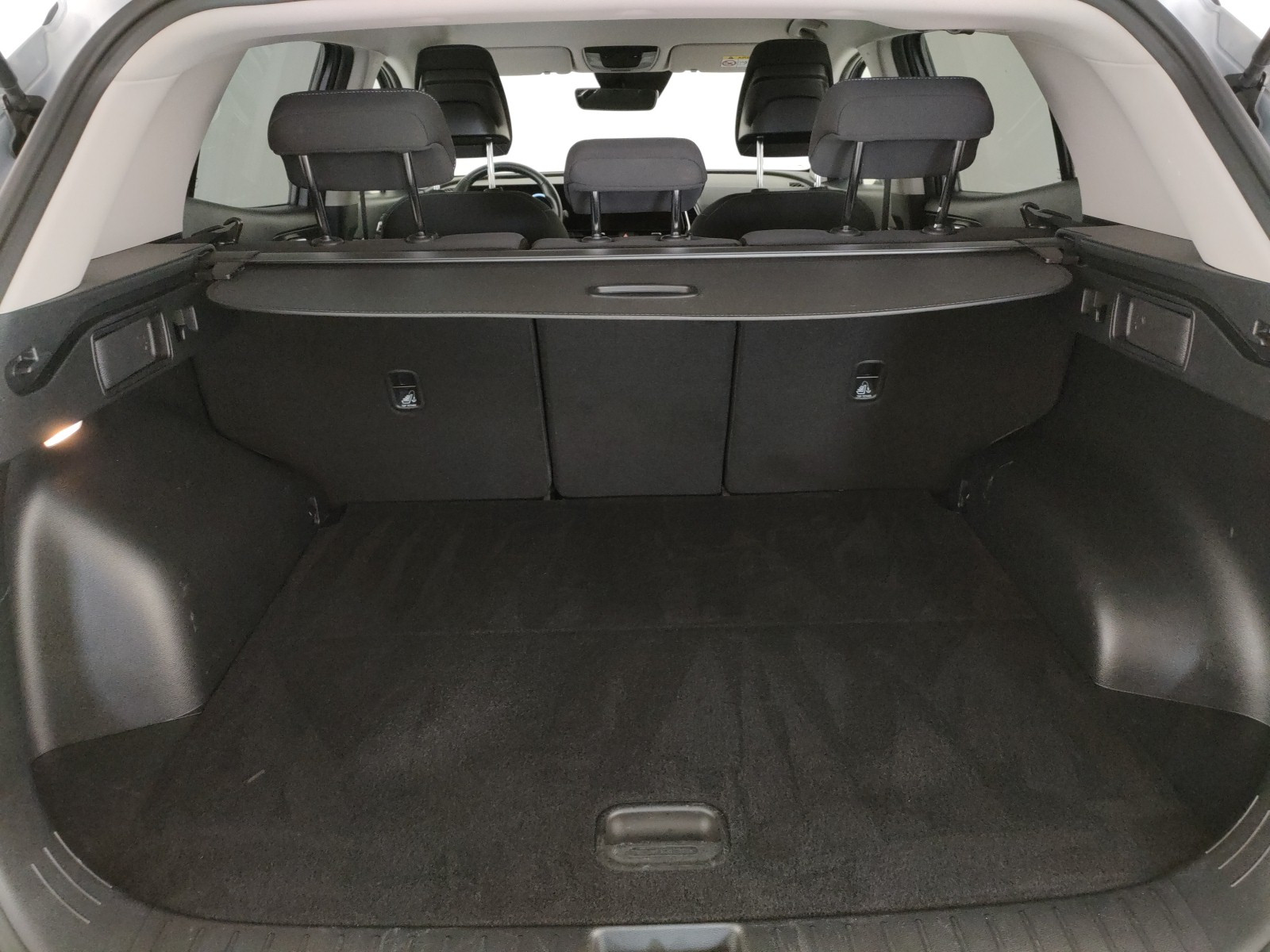 Kia Sportage Usato 2024 Sportage San Vendemiano