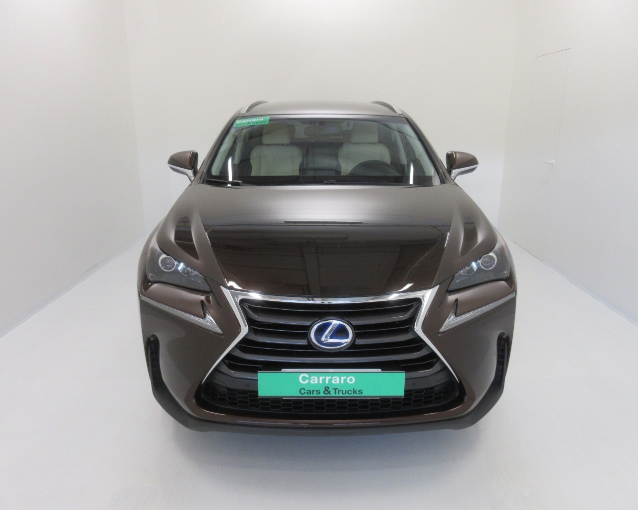 Lexus NX NX 300 2.5 Hybrid Icon 4WD CVT - 2