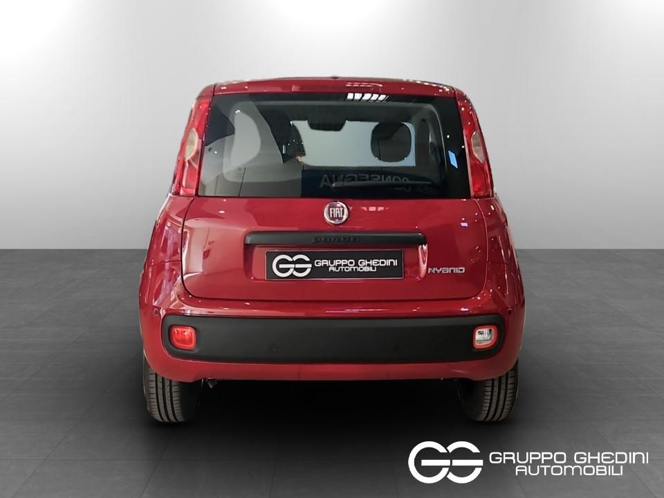 FIAT Panda Pandina My26 1.0 65cv Hybrid Icon Ibrida km0 - 4