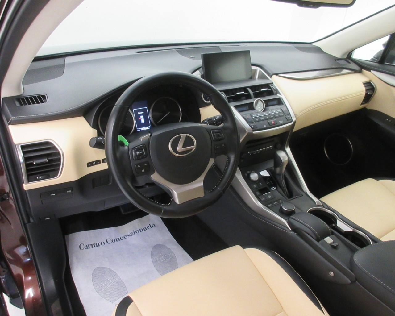 Lexus NX NX 300 2.5 Hybrid Icon 4WD CVT - 10