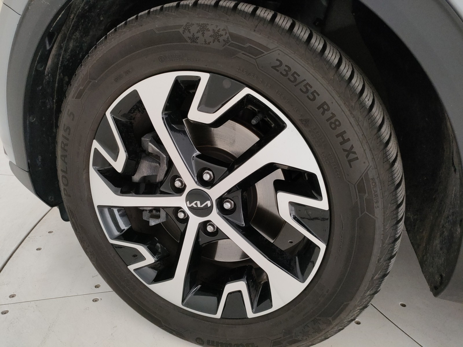 Kia Sportage Usato 2024 Sportage San Vendemiano