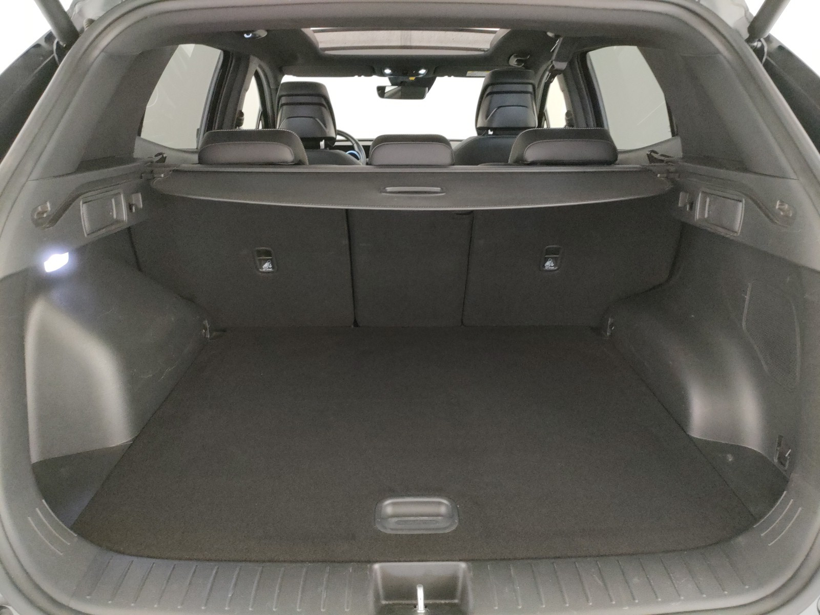 Kia Sportage Usato 2023 Sportage Legnago