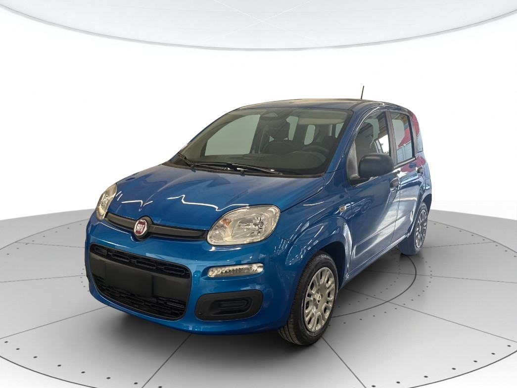 Fiat Panda Usato 2025 Panda Porto Mantovano