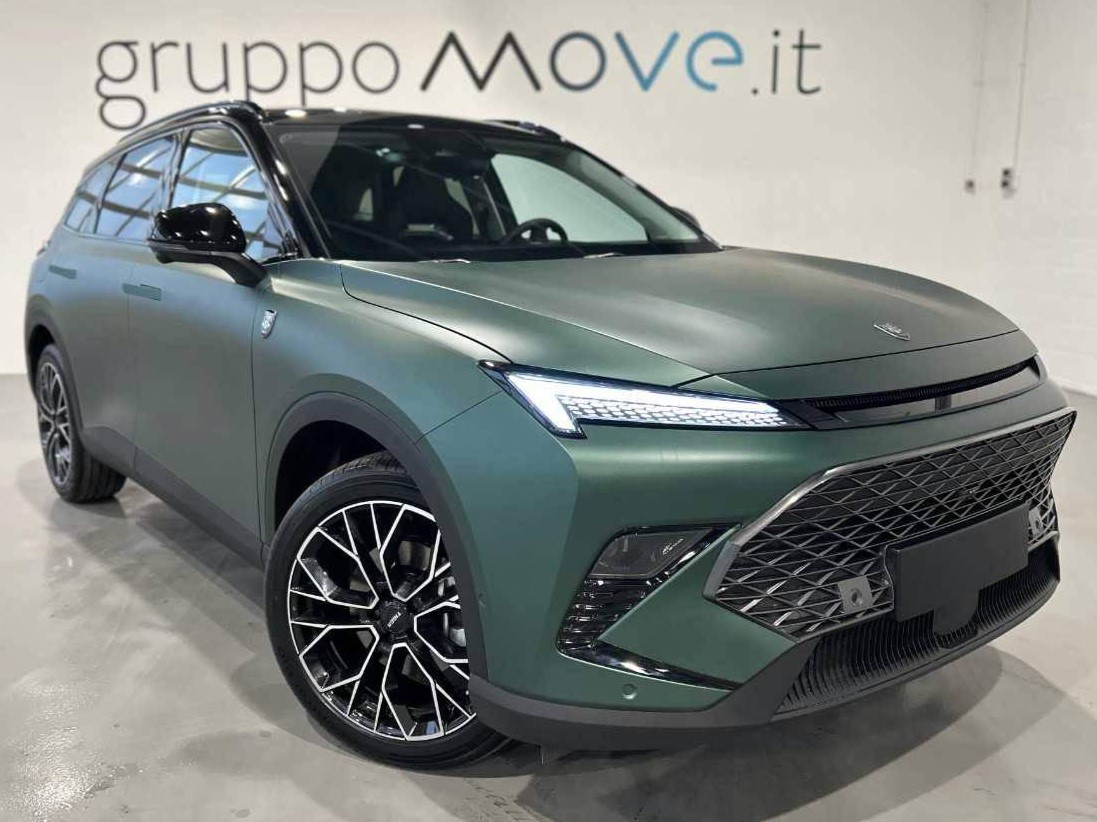 Tiger Six Usato 2025 Six Mestre