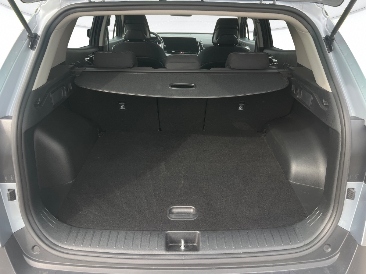 Kia Sportage Usato 2022 Sportage Rovigo