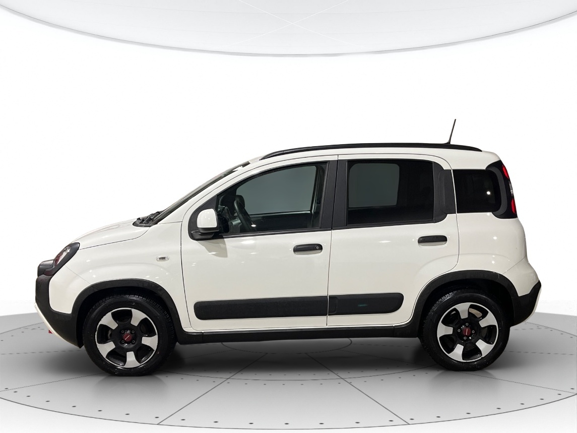 Fiat Panda Usato 2024 Panda Verona