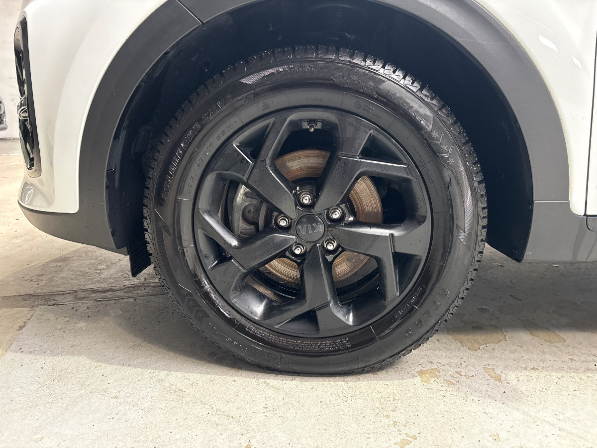 Kia Sportage Usato 2021 Sportage Rovigo